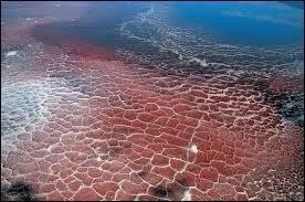 Où se situe ce lieu ?