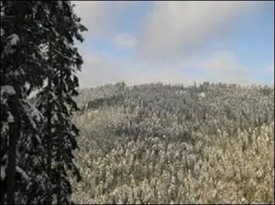 Mon point le plus haut est le Roc du Taurupt qui se situe entre les villages de Bionville et Raon-sur-Plaine, mais à quelle hauteur culmine t-il ?