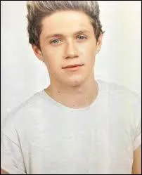 Comment Niall voulait-il appeler le groupe ?