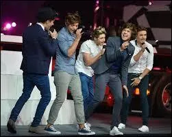 Quel est le groupe qui a fait la première partie des boys lors d'un concert (tournée 2014) en France ?