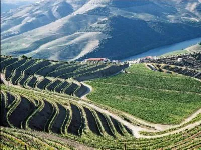 Quel délicieux spiritueux est créé dans la vallée du Douro ?