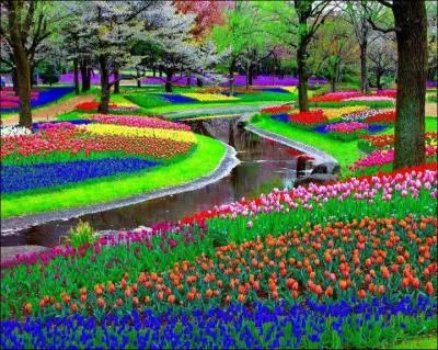 Dans quel pays se trouve le parc de Keukenhof ? Un des parcs les plus fleuris d'Europe.