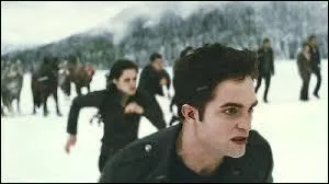 Au dernier chapitre, comment s'est terminée la rencontre avec les loups-garous et les vampires contre les "maîtres" des vampires ?