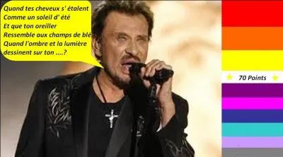 Pour 70 points, en 1969, Johnny Hallyday nous chante "Que je t'aime". Quelle est la bonne parole de la chanson ?