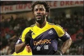 Qui est cet attaquant de Swansea City ?