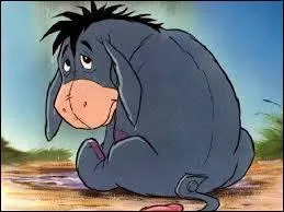 Quels sont les principaux traits de caractères de Bourriquet ?