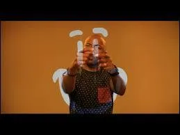 Qui est le chanteur de la chanson "Cosmo" ?