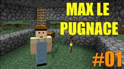 "Il ne sera pas dit que sa nature pugnace, ne lui serve quelque peu". Trouvez le sens de "pugnace" ?