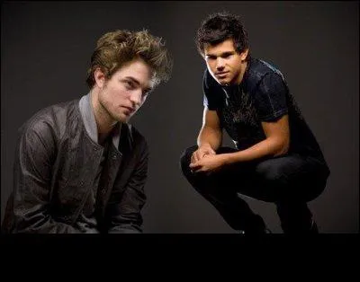 Qui sont les ennemis des vampires ?