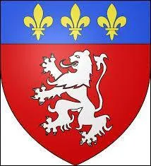 Voici le blason de la troisième ville de France. Surnommée "la capitale de la gastronomie", vous pourrez y savourer entre autres des coussins. Il s'agit de la ville de ...