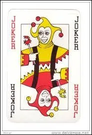 Comment appelle-t-on ça ? Des...