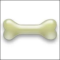 Le cheval peut-il lui aussi avoir de l'arthrose ?