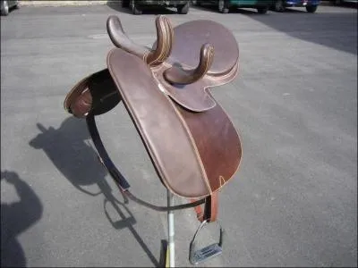 Cette selle est: