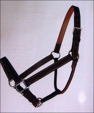 Qu'est-ce que c'est?