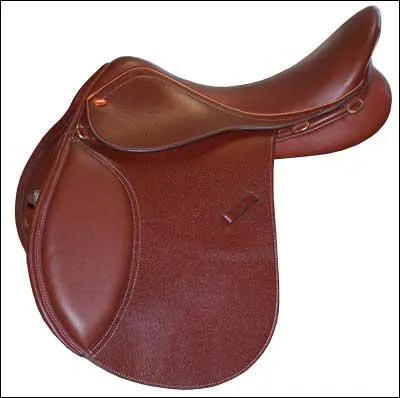 Quel est le nom de cette selle?