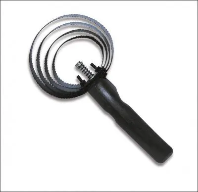 Cette brosse s'appelle: