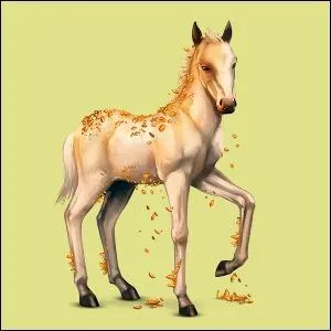 A qui est ce poulain ?