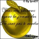 A quoi sert la pomme d'or ?