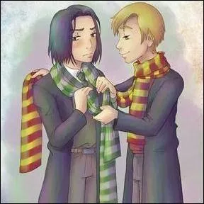 Comment Lupin voit-il Severus Rogue ?