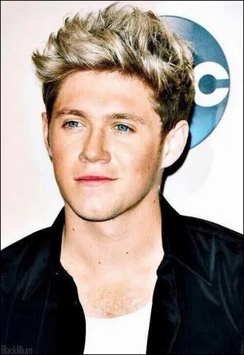 Quel est le nom complet de Niall ?