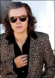 Quel est le nom complet de Harry ?