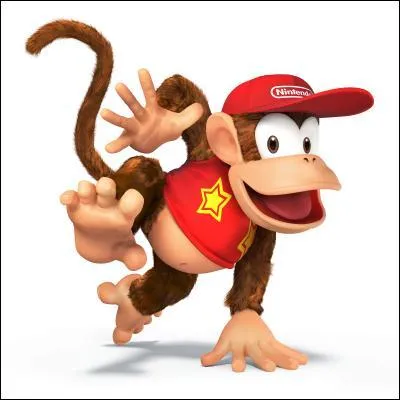 Comment s'appelle ce petit singe ?