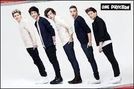 Comment appelle-t-on les fans des One Direction ?