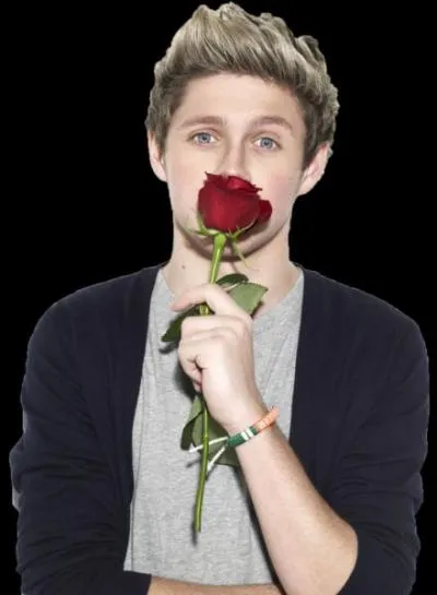 De qui Niall est-il fan ?