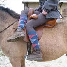 Quand on monte à cheval avec les deux jambes du même côté, on monte :