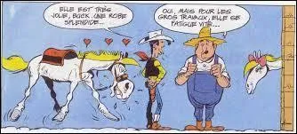 À quoi peut-on connaître les humeurs du cheval ?