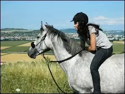 Quand on monte sans selle, on monte :