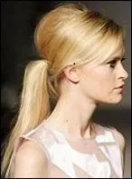 Comment s'appelle ce type de queue de cheval ?