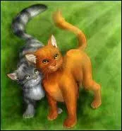 Quels sont les noms de guerriers de Nuage de Feu et Nuage Gris ?