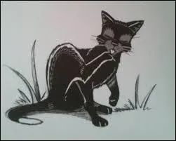 Qu'en est-il de Nuage de Jais ?