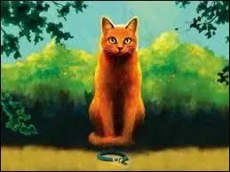 A quelle classe appartient-il ?