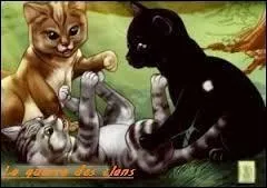 Quels sont ses amis ?