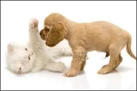 Lequel de ces animaux jappe ?