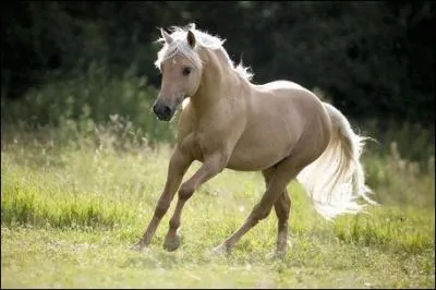 Et enfin, le dernier est un