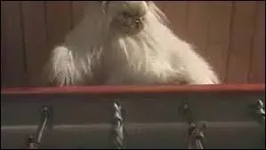 "Les chats, c'est que des branleurs...". Cette citation ponctue une fausse pub hilarante pour "Kwiskas", marque fictive de pâtée pour chats. Quels comiques célèbres en sont les auteurs ?