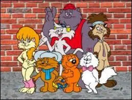 Ce dessin animé franco-américain est apparu en France en 1985, sur FR3.
Comment se nomme-t-il ?