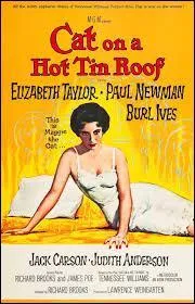 L'affiche ci-contre est celle d'un film américain sorti en 1958; on y retrouve notamment Elizabeth Taylor et Paul Newman. Quelle est la traduction française de son titre ?