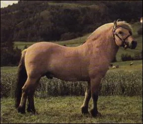 Quelle est cette robe ?