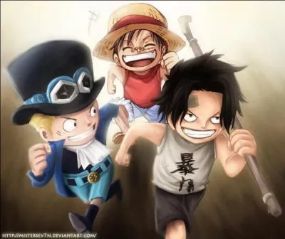 Comment s'appellent les frères de Luffy ?