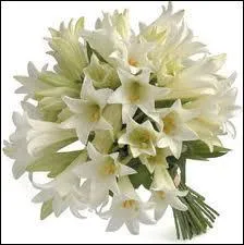 Mia a eu la même idée ! N'en jetez plus !