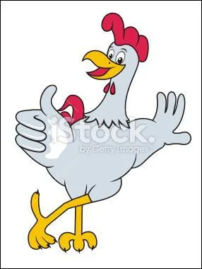 C'est Ned qui a tenu à préparer le plat de résistance, avec une recette à lui. C'est un cari de poulet.