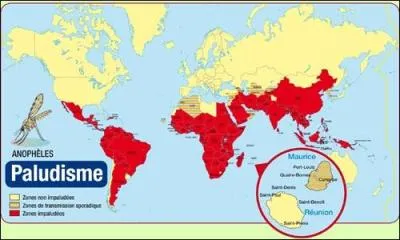 For&ecirc;t et paludisme > Mortel pour les populations locales (1, 5 &agrave; 2, 7 millions de d&eacute;c&egrave;s/an), la d&eacute;forestation favorise la prolif&eacute;ration des moustiques : dans quelle proportion ?