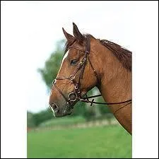 A quoi correspond cette image ?