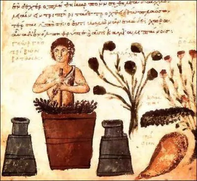 Quelle est cette potion, connue depuis l'Antiquité, utilisée contre la douleur en raison de la présence de morphine, et comme anti-poison, et qui passait pour une panacée ?