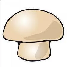 Lequel de ces champignons est toxique ?