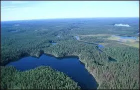 Avec environ 307 850 km2 de surface boisée, la Suède possède la plus importante superficie forestière de Scandinavie. Quel pourcentage de la superficie du pays cela représente-t-il ?